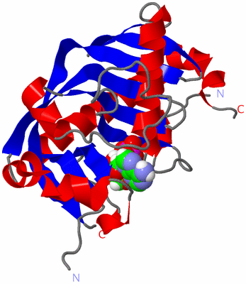 Image Asym./Biol. Unit