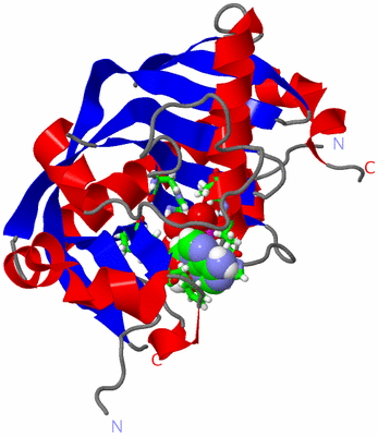 Image Asym./Biol. Unit - sites