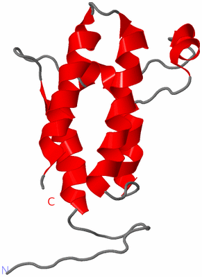 Image NMR Structure - model 1