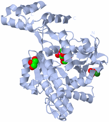 Image Biological Unit 1