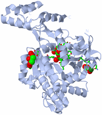 Image Biol. Unit 1 - sites