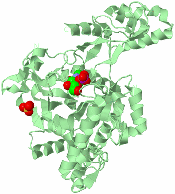 Image Biological Unit 2