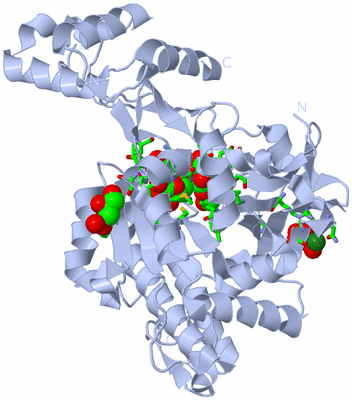 Image Biol. Unit 1 - sites