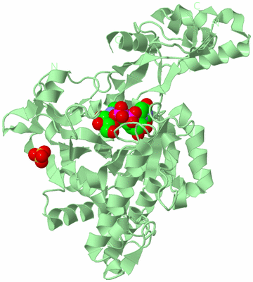 Image Biological Unit 2