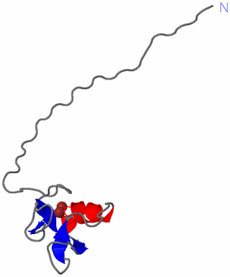 Image NMR Structure - model 1