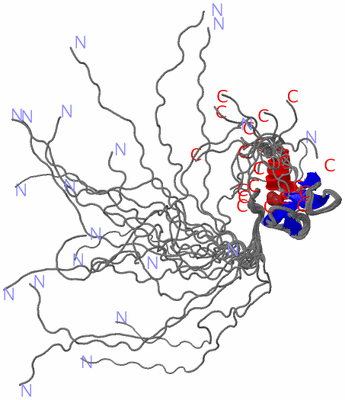 Image NMR Structure - all models