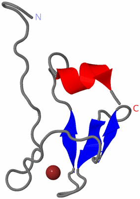 Image NMR Structure - model 1