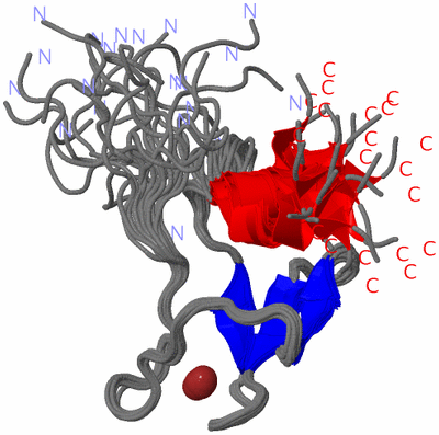 Image NMR Structure - all models