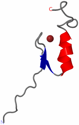 Image NMR Structure - model 1