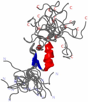 Image NMR Structure - all models