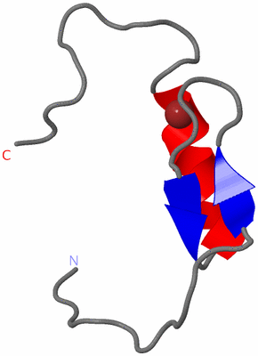 Image NMR Structure - model 1