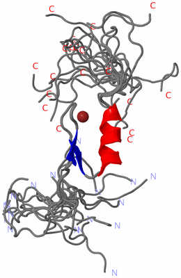 Image NMR Structure - all models