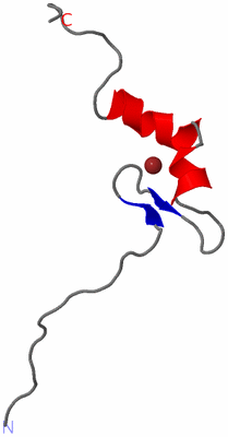 Image NMR Structure - model 1