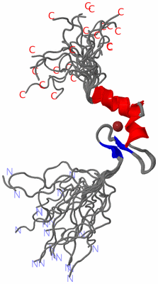 Image NMR Structure - all models