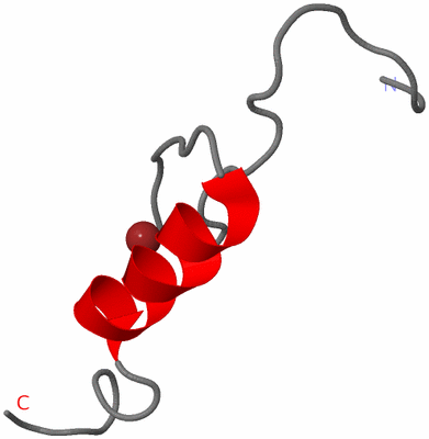 Image NMR Structure - model 1