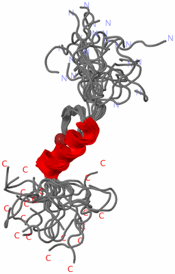 Image NMR Structure - all models