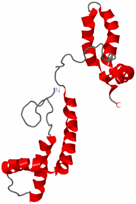Image NMR Structure - model 1