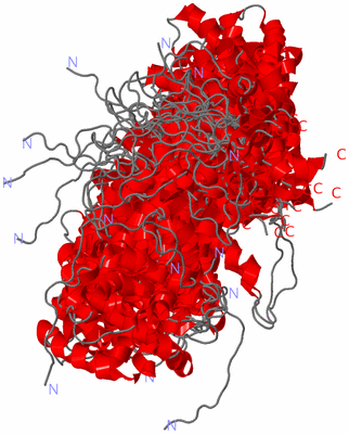 Image NMR Structure - all models