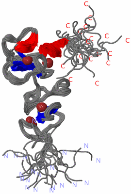 Image NMR Structure - all models