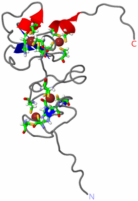 Image NMR Structure - model 1, sites