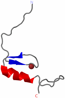 Image NMR Structure - model 1