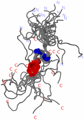 Image NMR Structure - all models