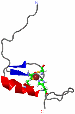 Image NMR Structure - model 1, sites