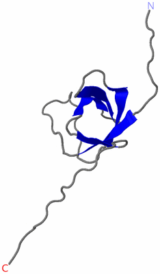 Image NMR Structure - model 1