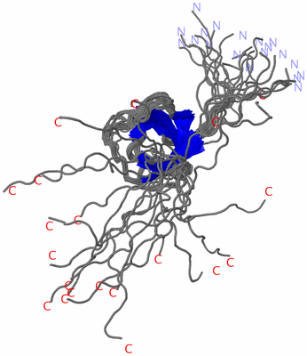 Image NMR Structure - all models