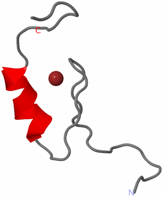 Image NMR Structure - model 1