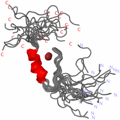 Image NMR Structure - all models