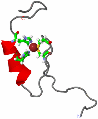 Image NMR Structure - model 1, sites