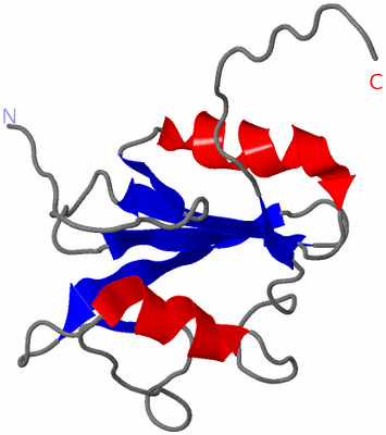 Image NMR Structure - model 1