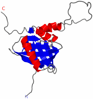 Image NMR Structure - model 1