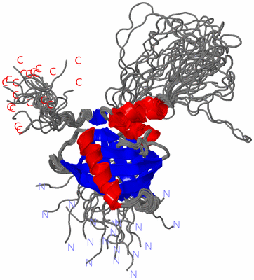 Image NMR Structure - all models