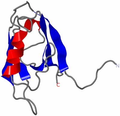 Image NMR Structure - model 1