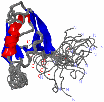 Image NMR Structure - all models