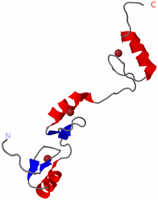 Image NMR Structure - model 1