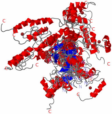 Image NMR Structure - all models