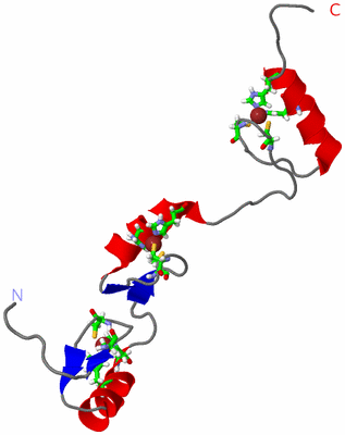 Image NMR Structure - model 1, sites