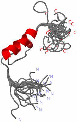 Image NMR Structure - all models