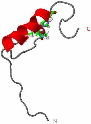 Image NMR Structure - model 1, sites