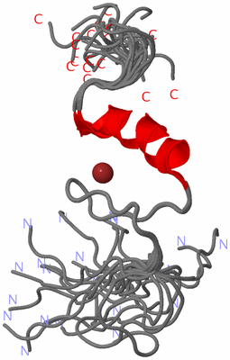 Image NMR Structure - all models