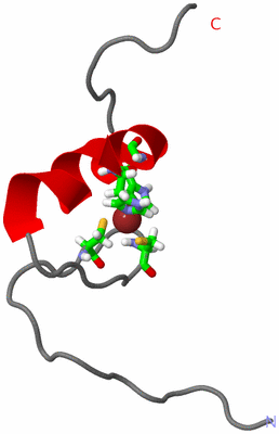 Image NMR Structure - model 1, sites