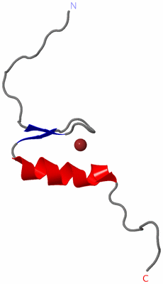 Image NMR Structure - model 1