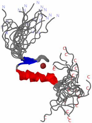 Image NMR Structure - all models