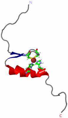 Image NMR Structure - model 1, sites