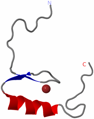 Image NMR Structure - model 1