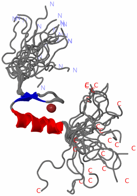 Image NMR Structure - all models