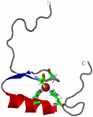 Image NMR Structure - model 1, sites